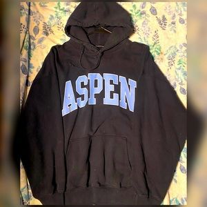 Brandy Melville Oversized Christy Hoodie Aspen Rare